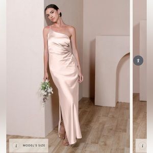 Revelry Jade dress in color blush. Size 16 altered to fit a size 12.